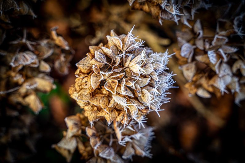 Frühlingsgefühle im Herbst